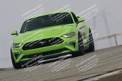 media/Nov-21-2025-Audi Club (Fri) [[8110d52e1e]]/Open Track Photos/3 Grapevine/